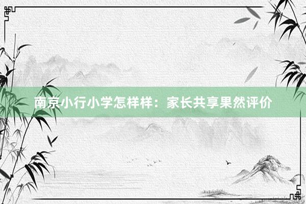 南京小行小学怎样样：家长共享果然评价